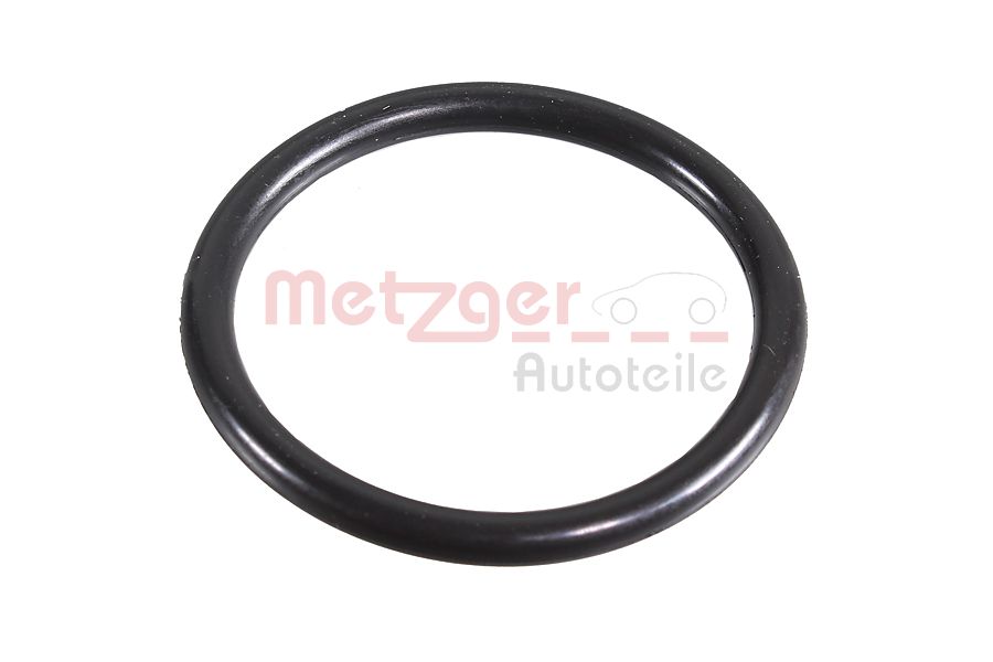 Seal Ring METZGER 2430059