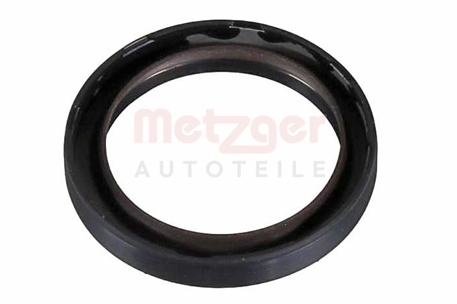 Shaft Seal, camshaft METZGER 2430190