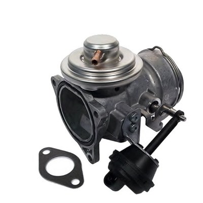 EGR Valve MAGNETI MARELLI 571822112051