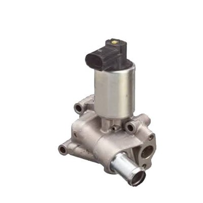 EGR Valve MAGNETI MARELLI 571822112066