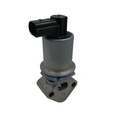 EGR Valve MAGNETI MARELLI 571822112071