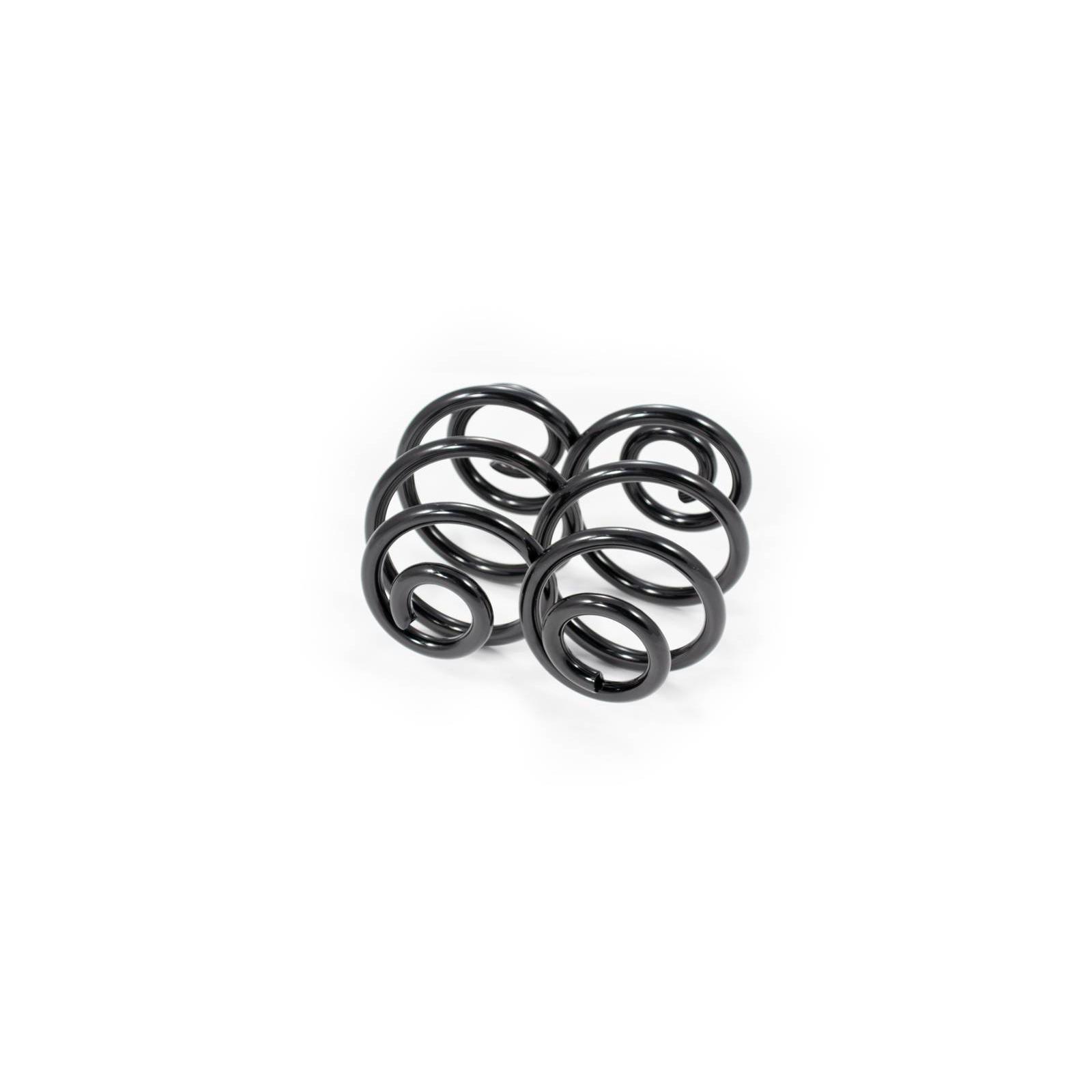 Suspension Kit, coil springs FEBEST 1908-004R-KIT