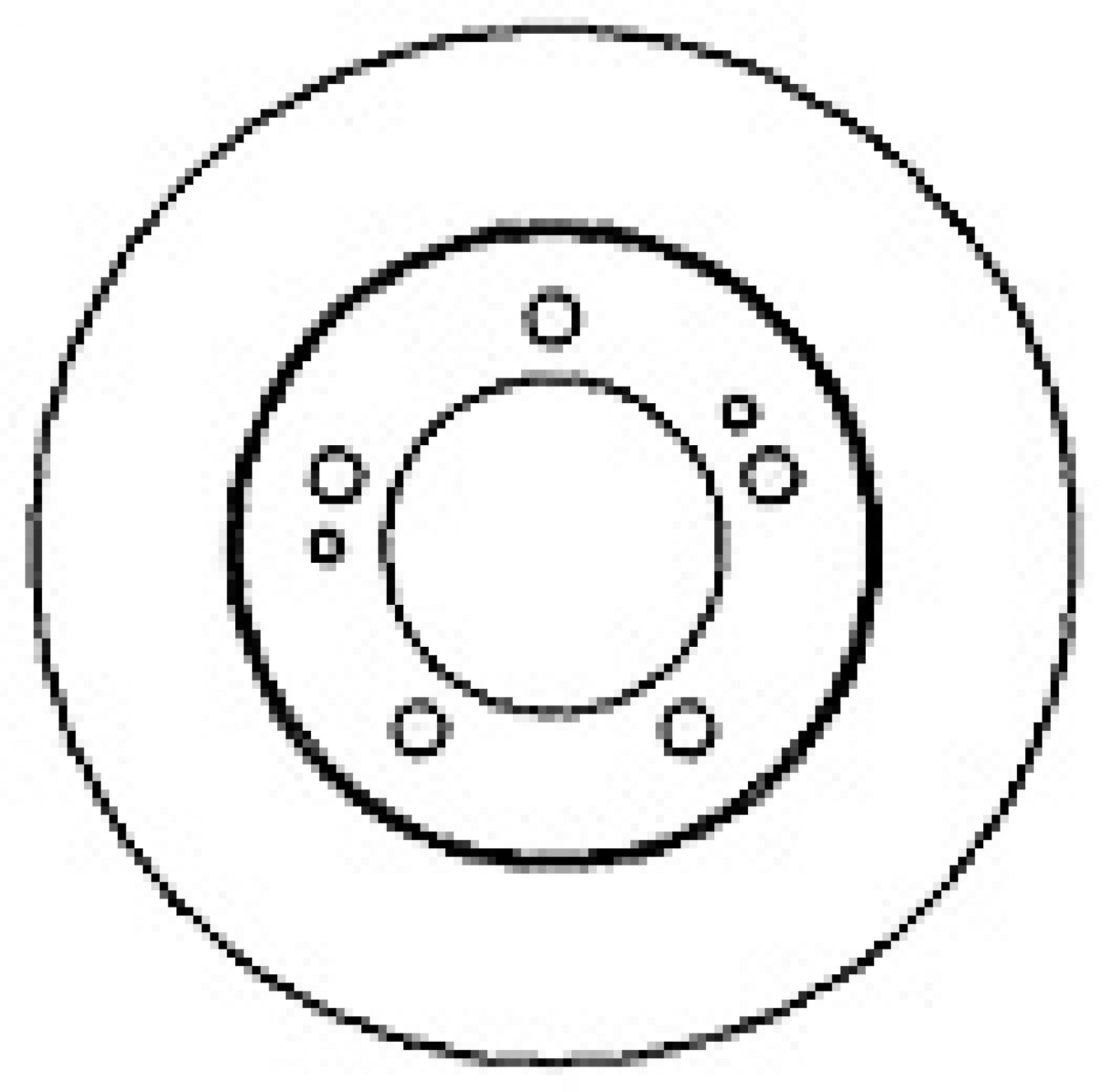 Brake Disc MAPCO 15519