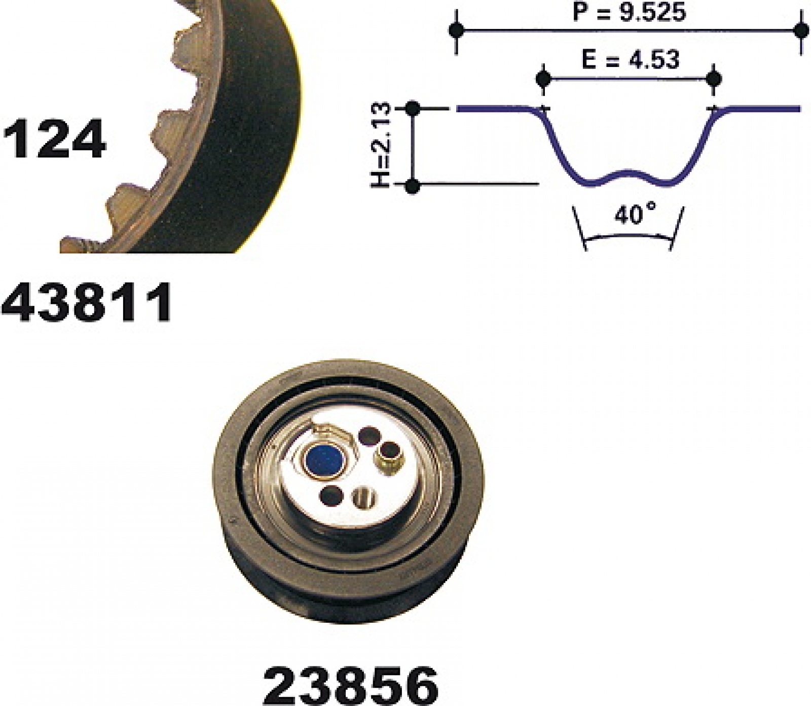 Timing Belt Set MAPCO 23811