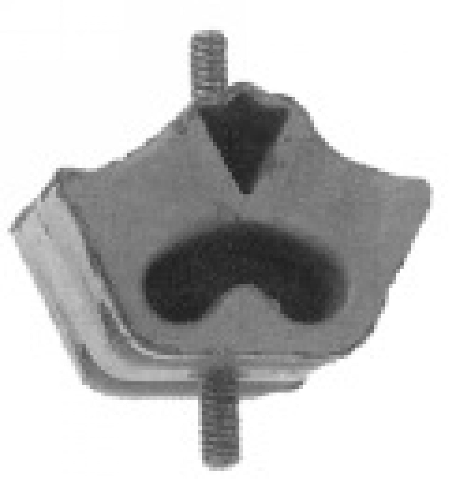 Engine Mounting MAPCO 33801