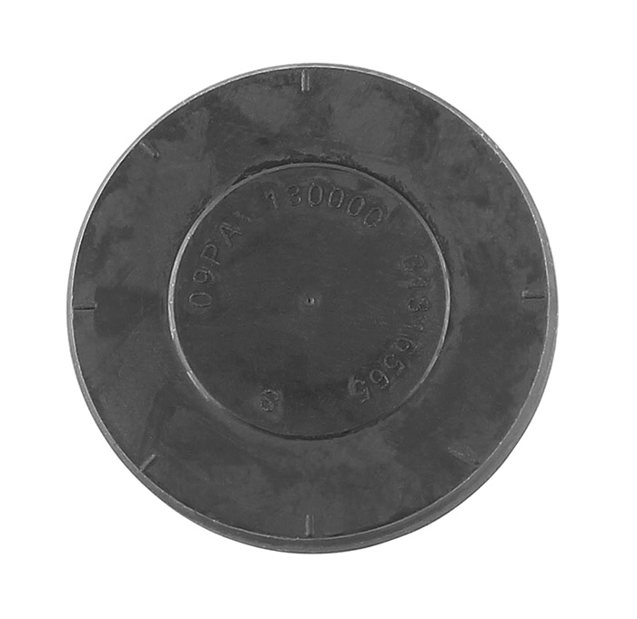 Locking Cover, camshaft Professional Parts 21436565