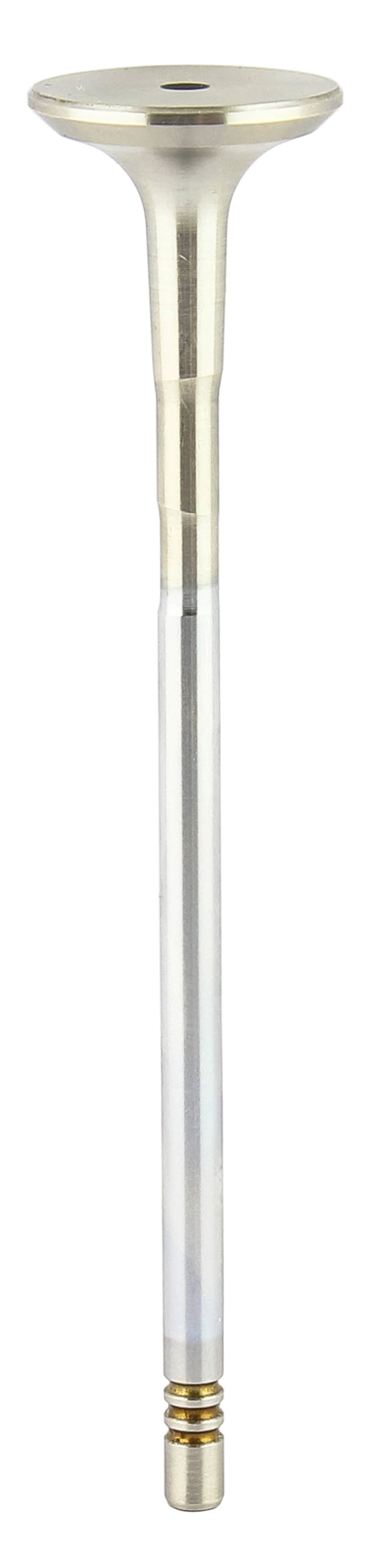 Exhaust Valve Professional Parts 23349794