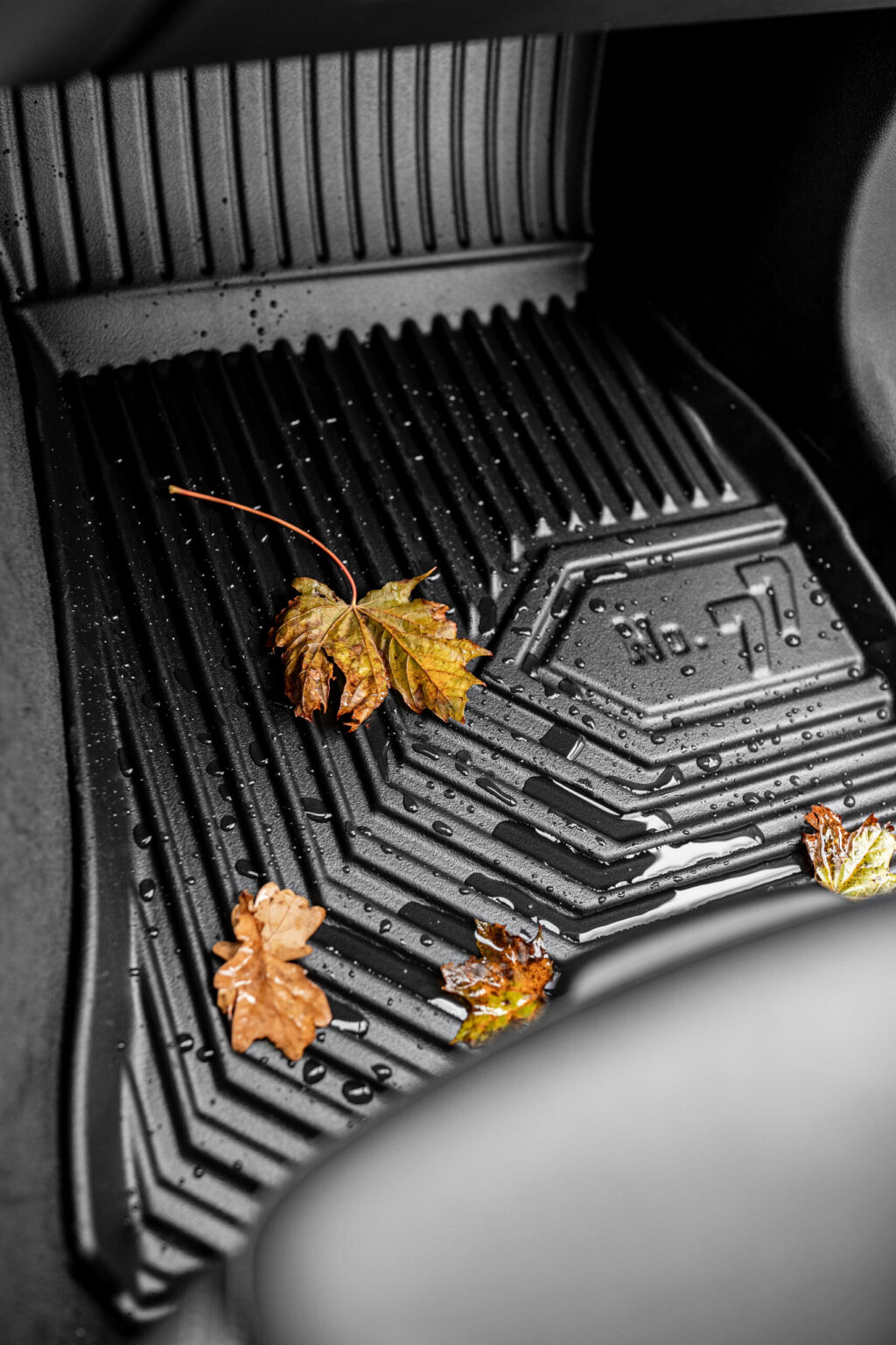 Esterillas FROGUM No.77 Mini Countryman III 2023