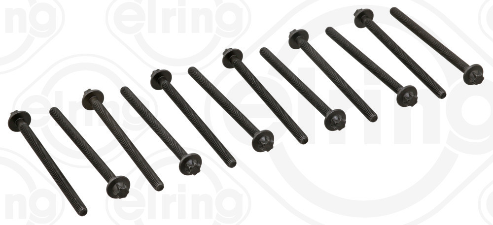 Elring 125.930 Nuts and Bolts 
