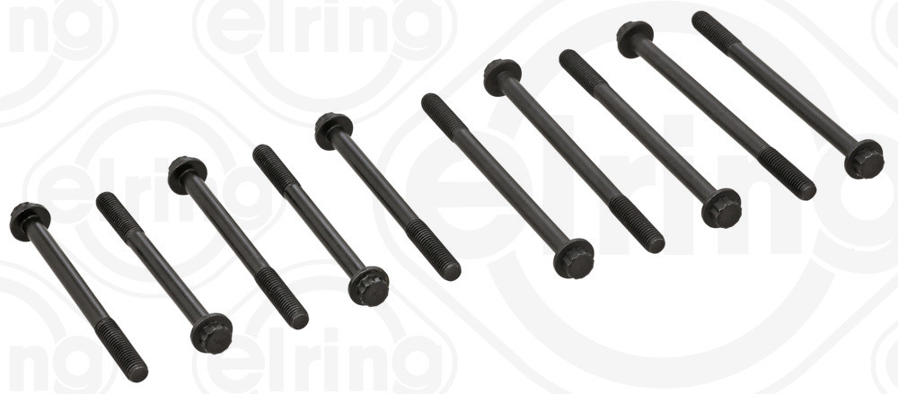 Elring 709.810 Nuts and Bolts 