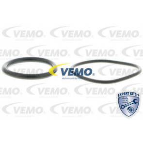 Fuel Pump Vemo V10 09 0806 Trodo Com