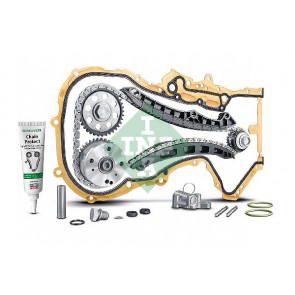 ina timing chain kit