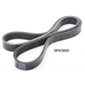 Contitech 5PK890 V-ribbed belt 
