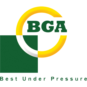 BGA VG2196 Guide valvole motore 